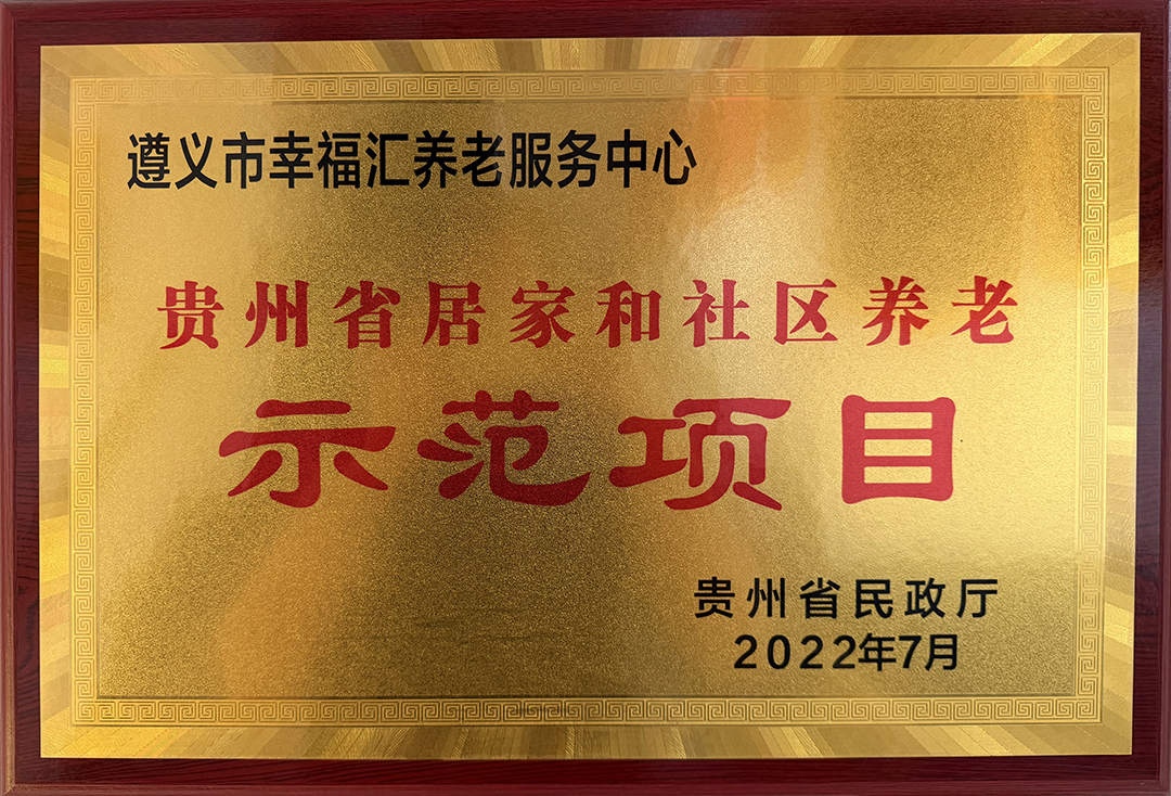 贵州省居家和社区养老示范项目